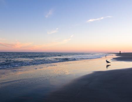 A beach on sunset