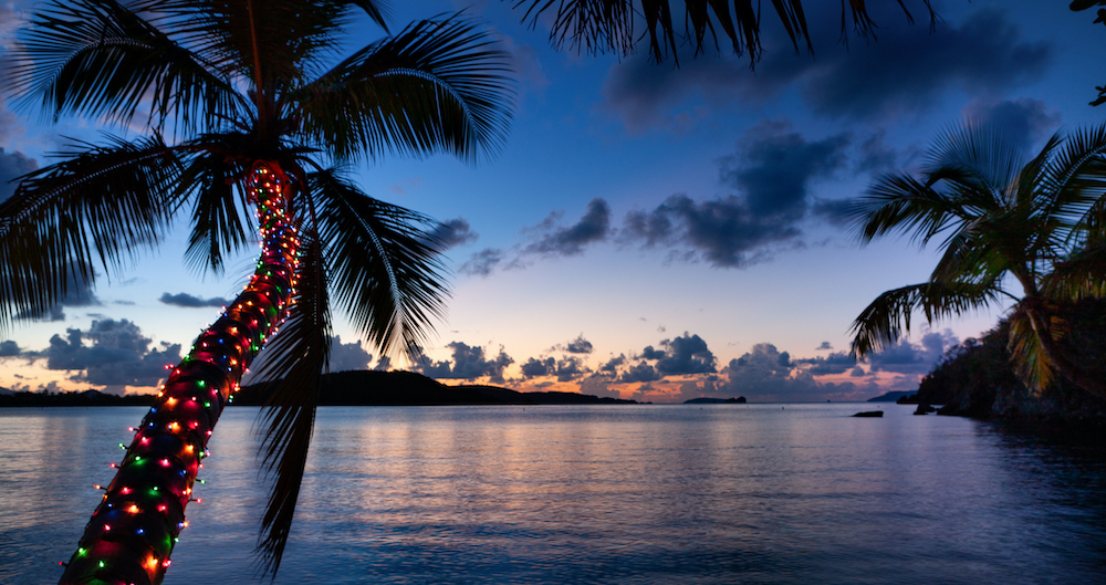 6. "Tropical Christmas Nail Art with Palm Trees and Lights" - wide 2